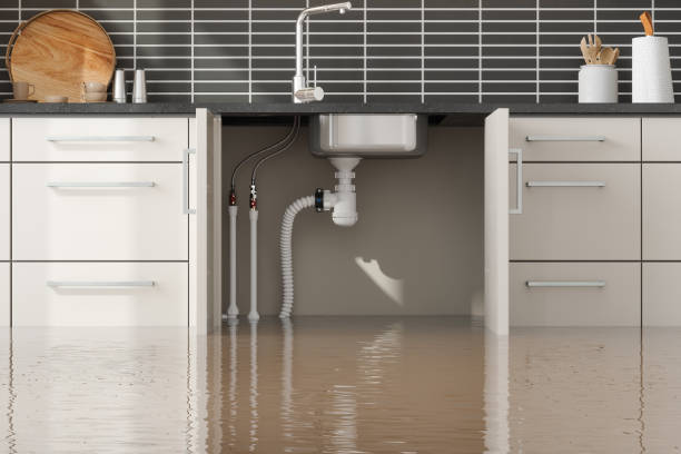 Best Water damage restoration company  in USA